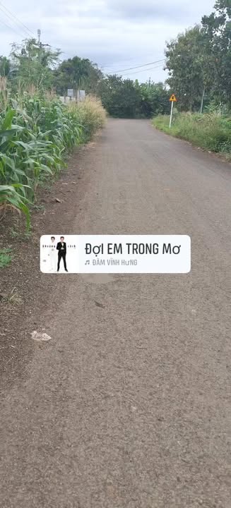 Đất thổ cư 810m² tại thôn Hiệp Đoàn, xã Quảng Hiệp - Giá 600 triệu, thương lượng nhẹ!