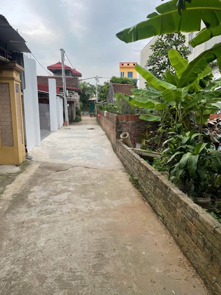 Đất nền Đông Xuân Sóc Sơn 75m² - Đường thông ô tô vào tận nơi!