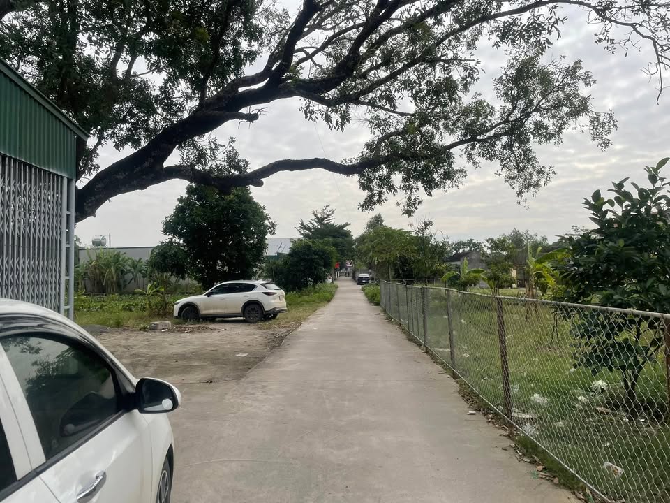 Đất Ninh Phúc 80m² giá 2 tỷ - 3 mặt tiền đẹp, đầu tư sinh lời!