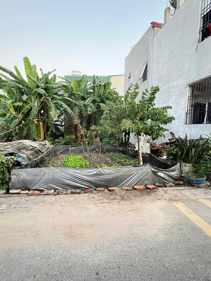 Đất nền Vĩnh Yên 61m² giá chỉ 1 tỷ - Cơ hội đầu tư hấp dẫn cho gia đình trẻ!