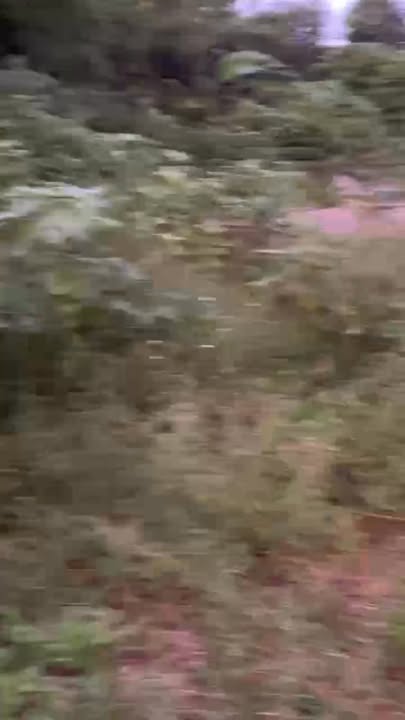 Đất ở Yên Nam, Duy Tiên 205m² giá chỉ 2.665 tỷ - Đường rộng thông thoáng!