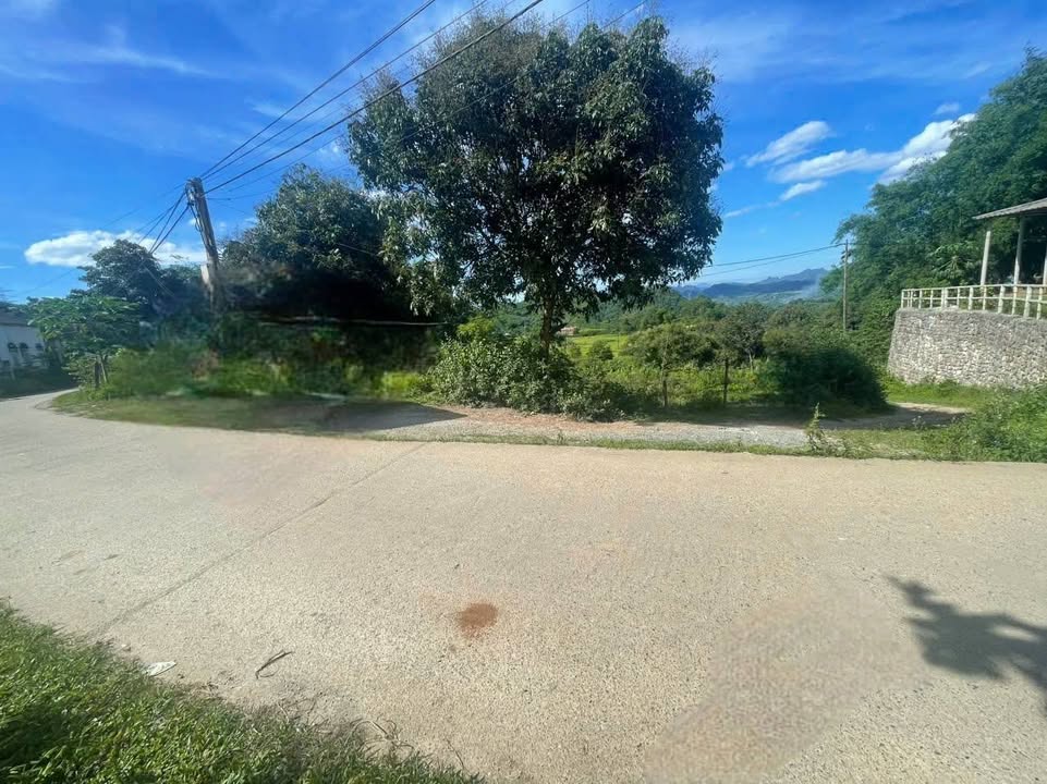 Đất farm Phú Cường Tân Lạc Hòa Bình 1600m² giá 1 tỷ - View suối thơ mộng!