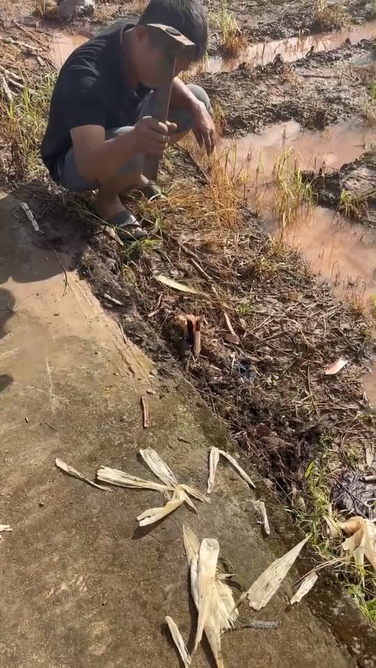 Đất mặt Hồ điều hòa 292m² xã Yên Mỹ, Thanh Trì - Giá chỉ 1.75 tỷ