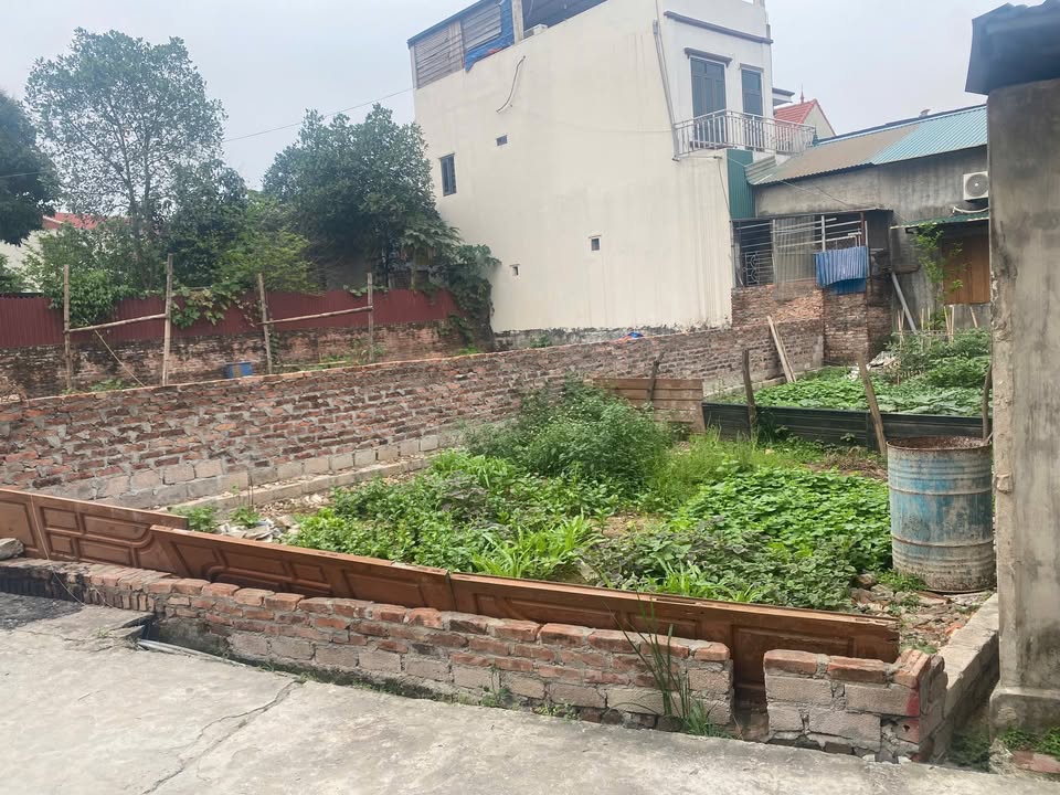 Đất thổ cư 92m² tại Phú Nghĩa, Chương Mỹ chỉ 4 triệu/m² - Cơ hội đầu tư hấp dẫn!