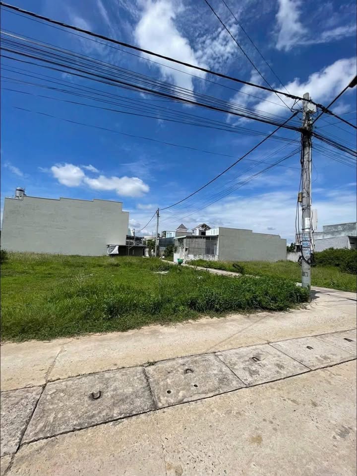 Đất nền thổ cư Phong Nẫm Phan Thiết 100m² giá 990 triệu - Cơ hội đầu tư hấp dẫn!