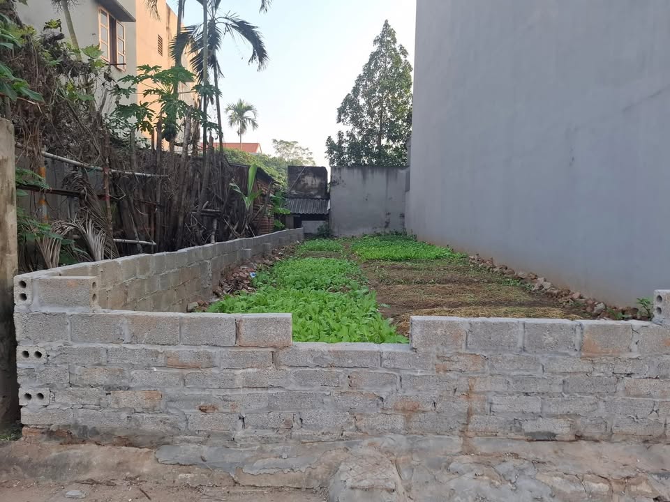 Đất nền trục chính ủy ban Liên Phương Hưng Yên 81m² giá 4 tỷ - Đầu tư sinh lời ngay!