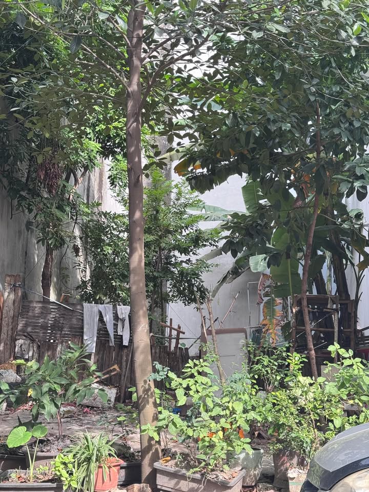 Lô đất Đại Mỗ 60m² giá 1X tỷ - Tiện ích đỉnh cao, giao thông thuận lợi!