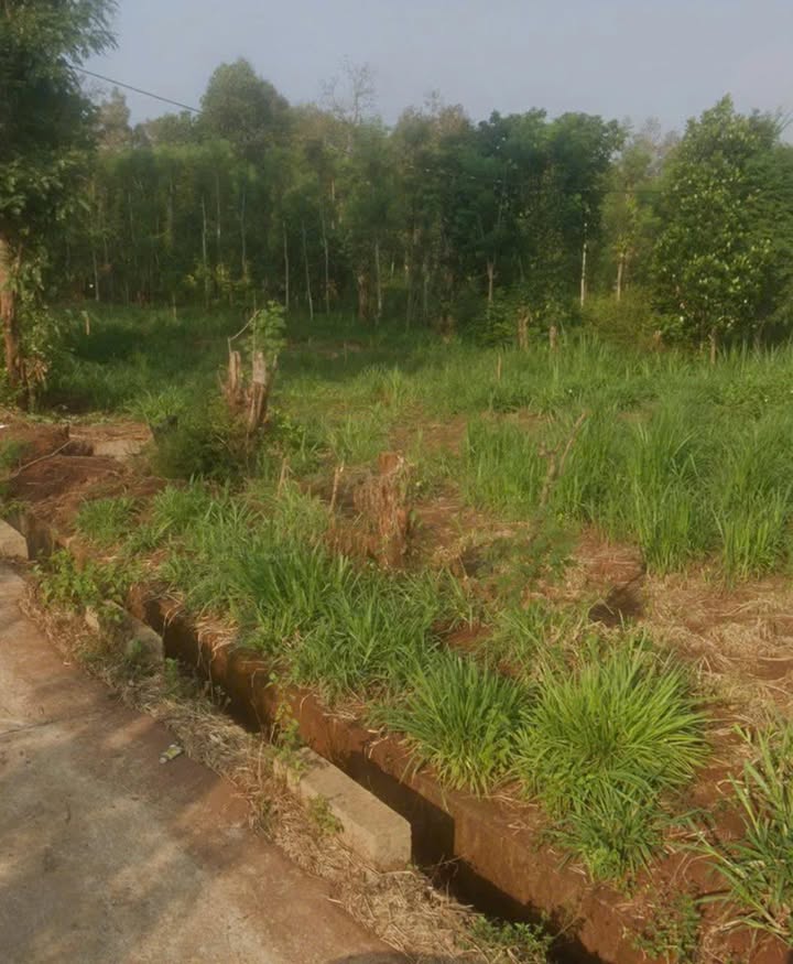 Đất sào mặt tiền Y Moan 2000m² giá 3.9 tỷ - Cơ hội đầu tư hấp dẫn!