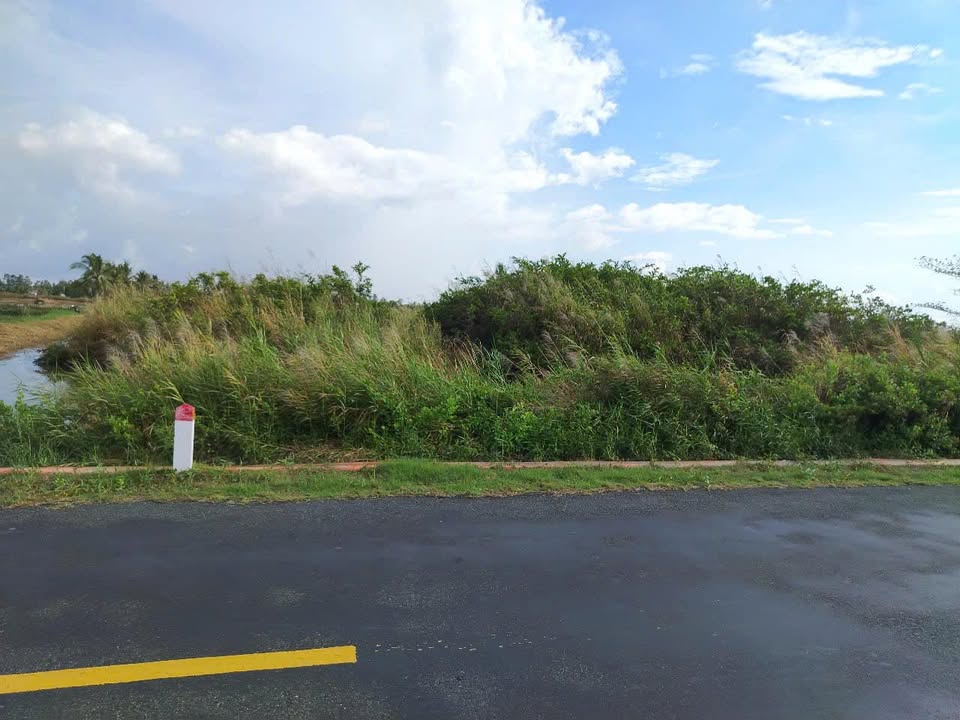 Đất mặt tiền đường trục Đông Tây, Ấp Vịnh Gốc, 2450m² chỉ 2.45 tỷ - Cơ hội đầu tư tuyệt vời!