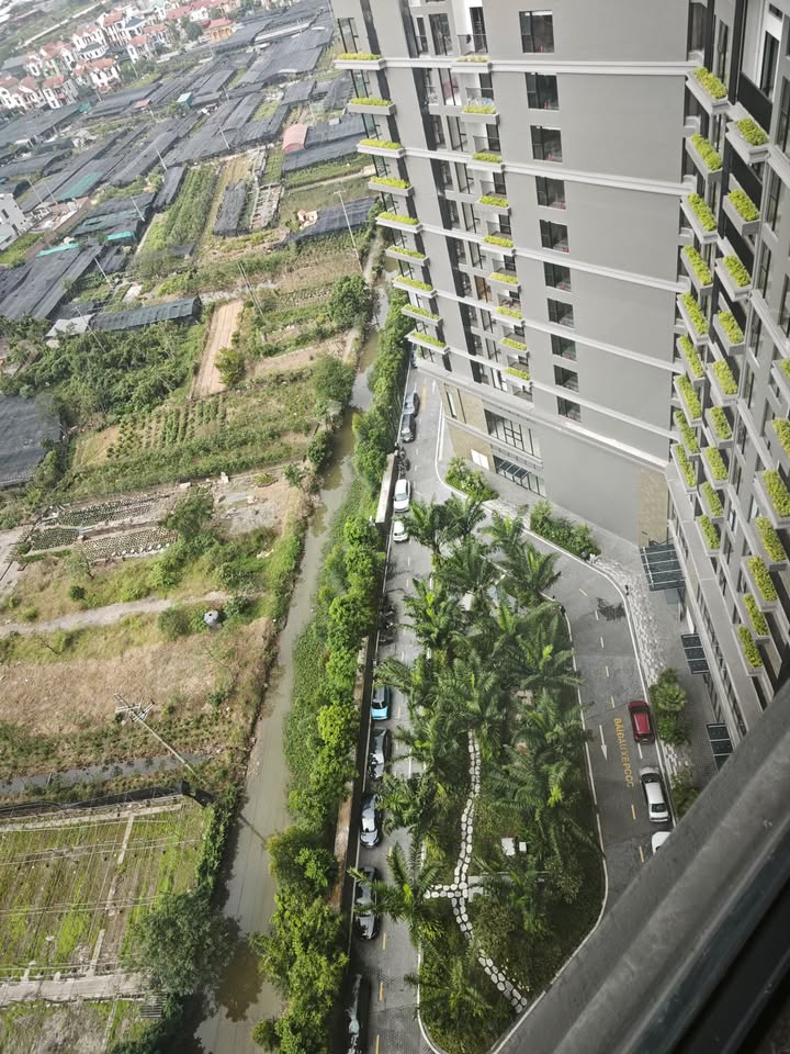 Căn hộ Sky Forest Residences Hưng Yên 60m² giá 4 tỷ - View sông Hồng tuyệt đẹp!