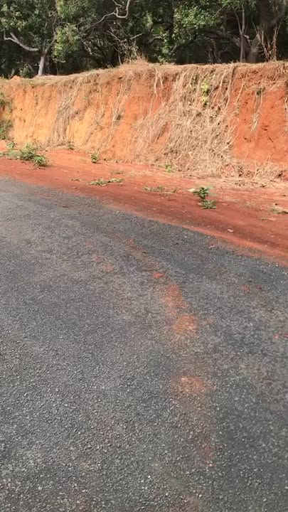 Đất nền Tân Phước 5000m² chỉ 700 triệu - Giá xả nhanh, cơ hội đầu tư hấp dẫn!