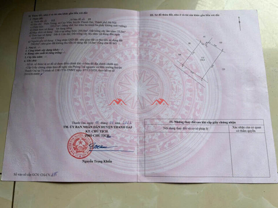 Đất nền 120m² tại xã Bình Minh, Thanh Oai - Vị trí đắc địa, giá thỏa thuận!