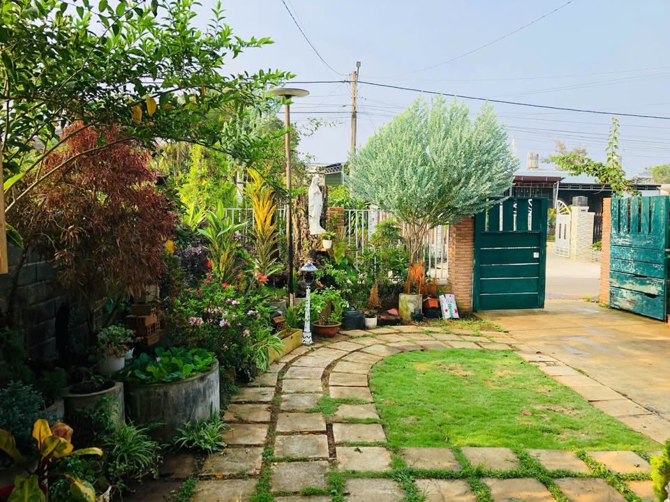 Homestay nhà vườn Lộc Tiến 285m² giá 3.1 tỷ - Không gian nghỉ dưỡng lý tưởng!