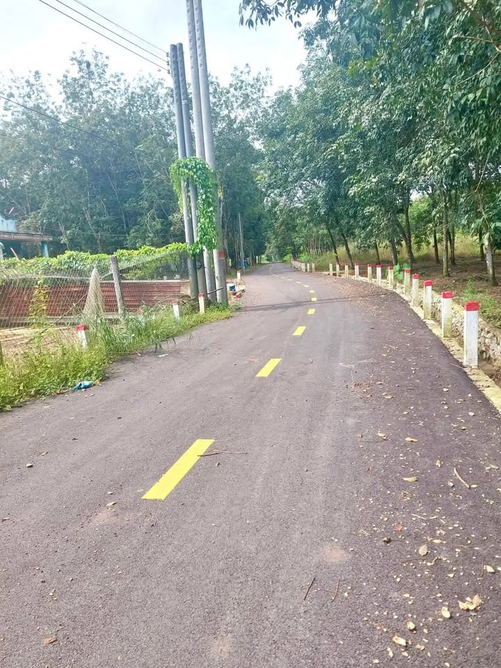 Đất nền Phú Giáo 250m² giá chỉ 530 triệu - Cơ hội đầu tư nhanh chóng!