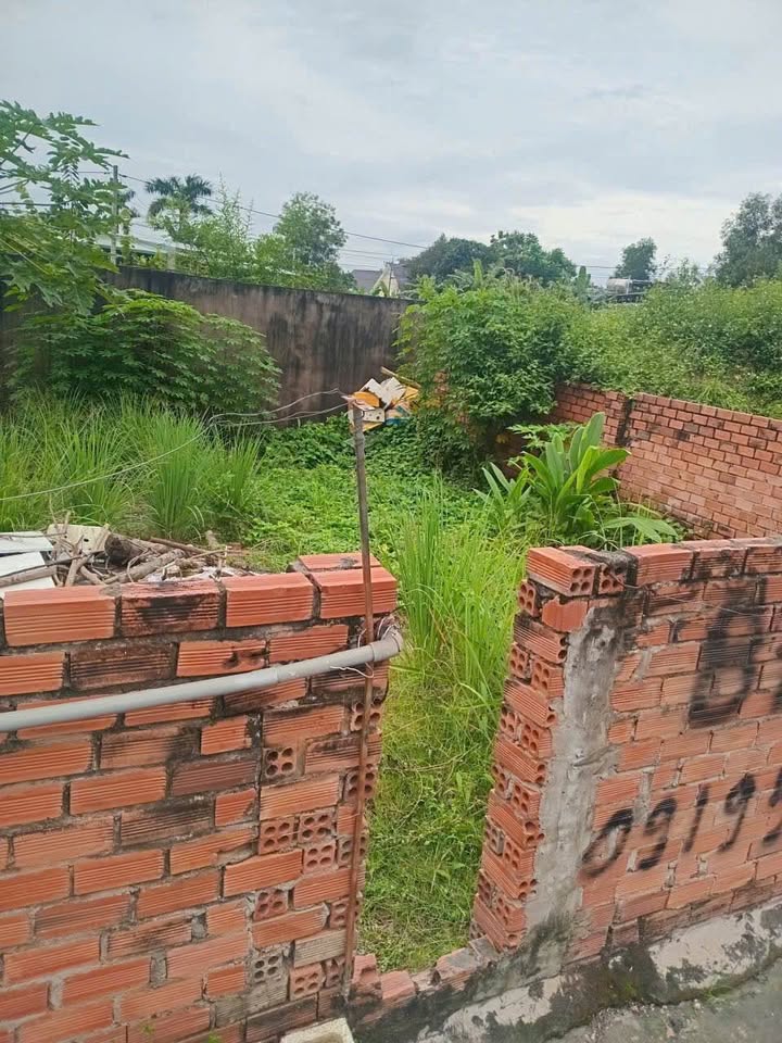 Đất nền Trảng Dài Biên Hòa 50m² giá chỉ 289 triệu - Cần tiền bán gấp!