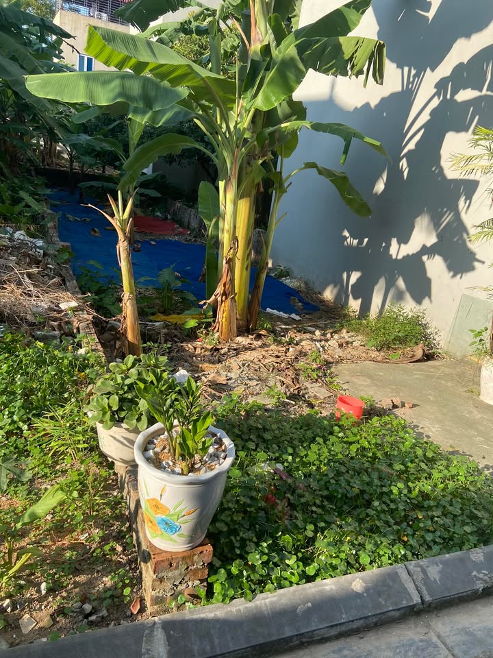 Nhà riêng Hải Bối Đông Anh 41m² giá 4 tỷ - Cơ hội đầu tư hiếm có!