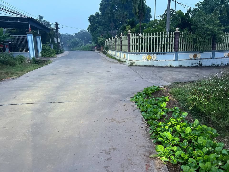 Đất thổ cư Hồng Tiến Phổ Yên 274m² giá 2 tỷ - Kinh doanh tuyệt vời!