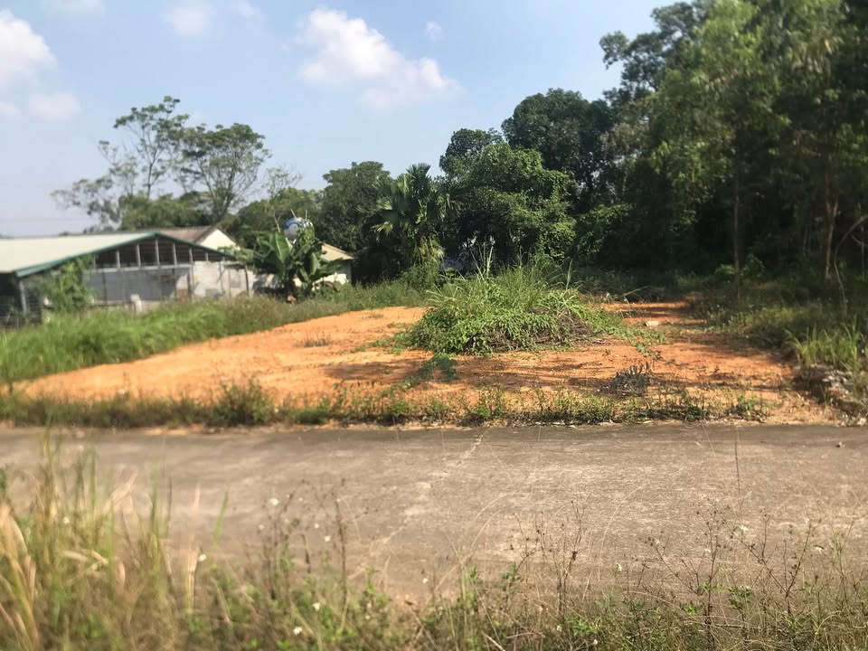 Đất nền Hy Cương, Việt Trì 536m² giá 2.68 tỷ - Phù hợp xây biệt thự vườn!