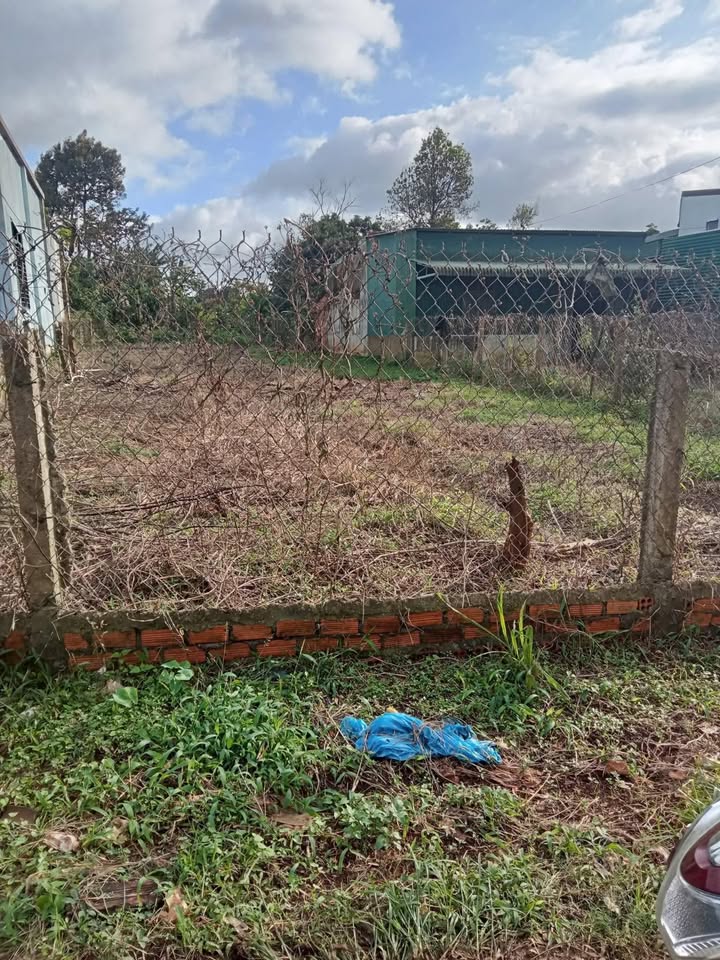 Đất nền Pơng Drang, Krông Búk 100m² chỉ 2.3 tỷ - Chính chủ bán gấp!