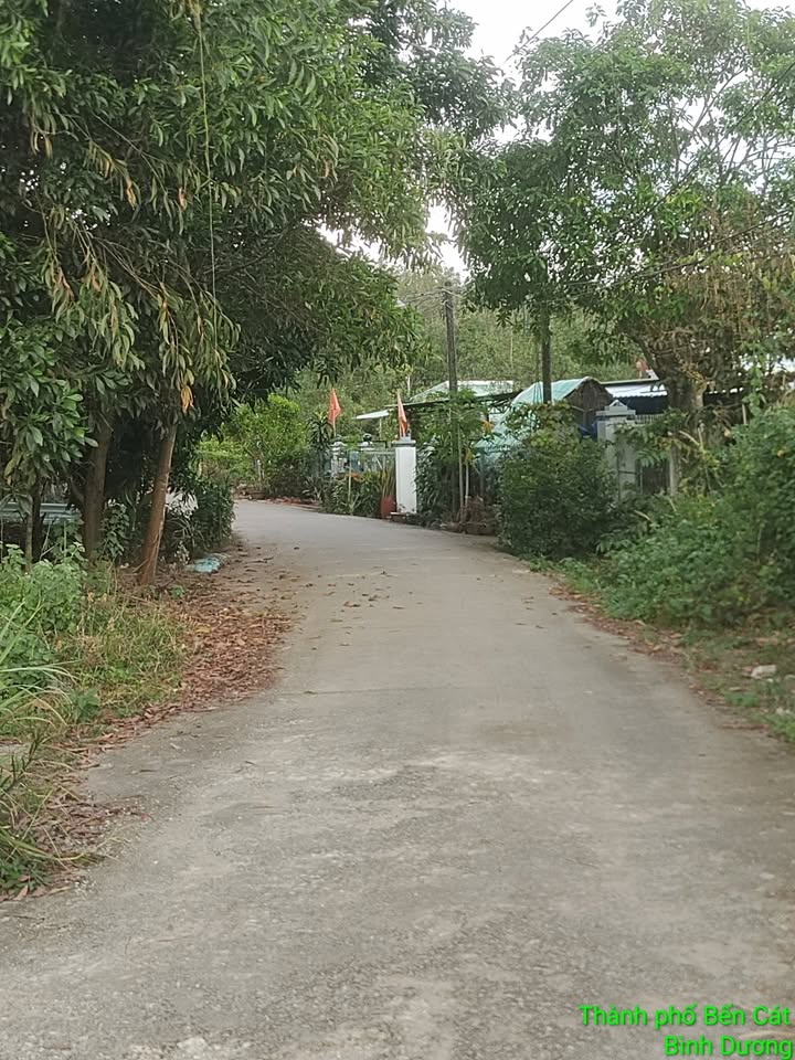 Nhà bán tại An Tây, Bến Cát 277m² giá 1.6 tỷ - Cơ hội sở hữu ngay!