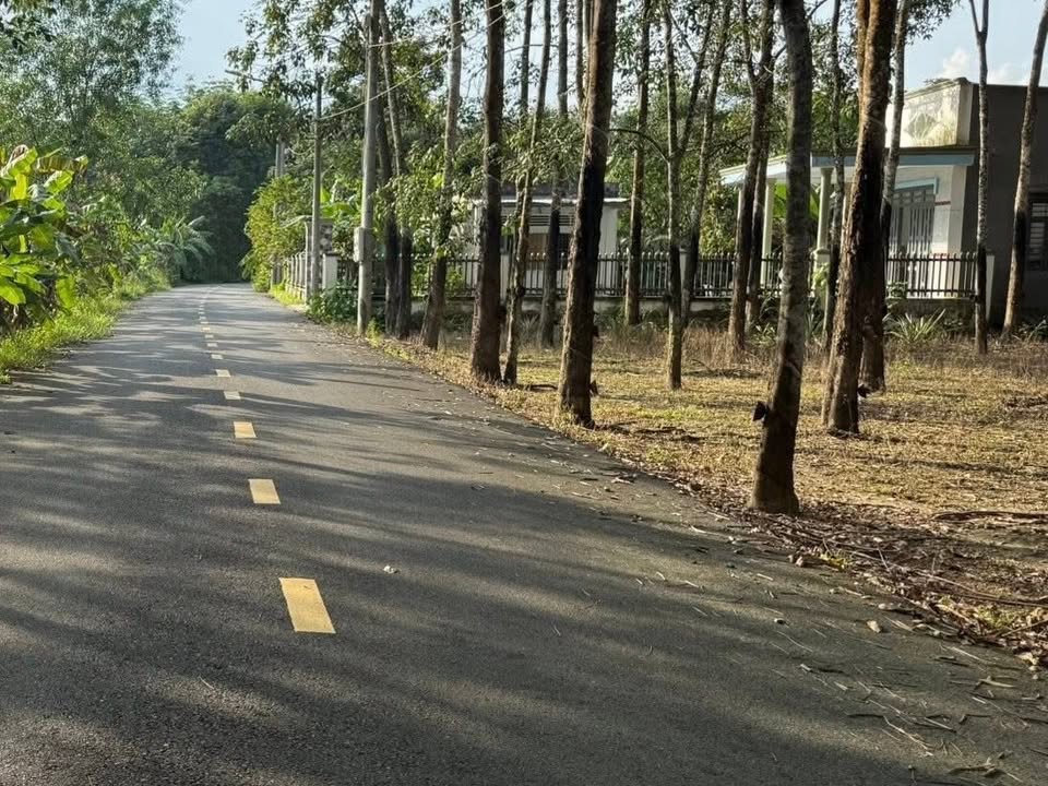 Đất nền mặt tiền đường Lai Uyên, Bàu Bàng 300m² giá chỉ 800 triệu - Đầu tư sinh lời ngay!