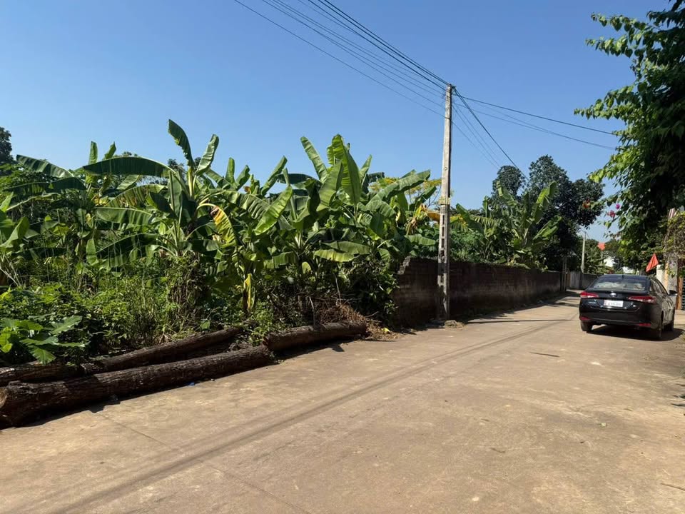 Đất nền Tân Hưng Lạng Giang 105m² giá chỉ 900 triệu - Cơ hội đầu tư tuyệt vời!