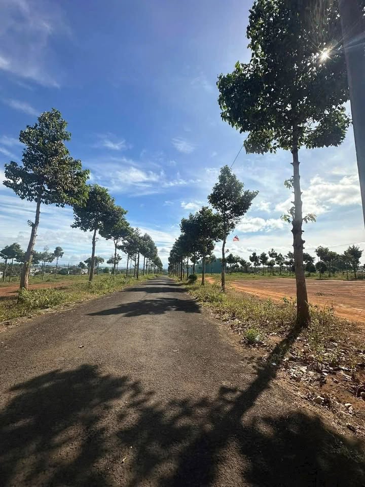 Đất nền khu đô thị Cầu Sắt, Pleiku 90m² giá 1.1 tỷ - Cơ hội đầu tư hấp dẫn!