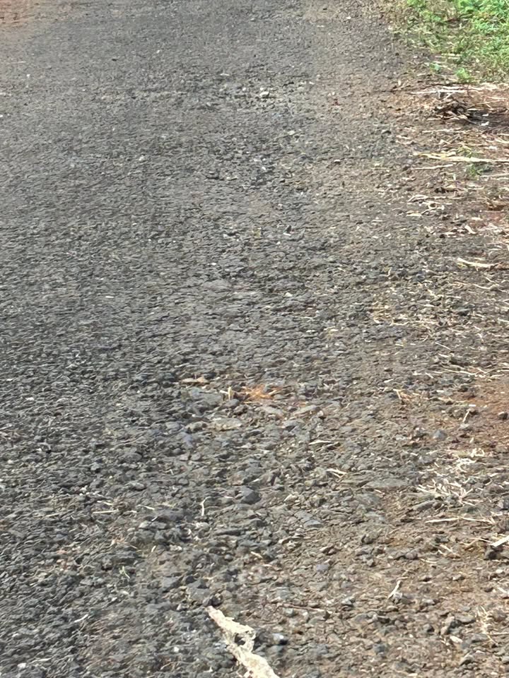 Đất mặt tiền Biển Hồ 2500m² giá chỉ 4 tỷ - Đầu tư sinh lời!