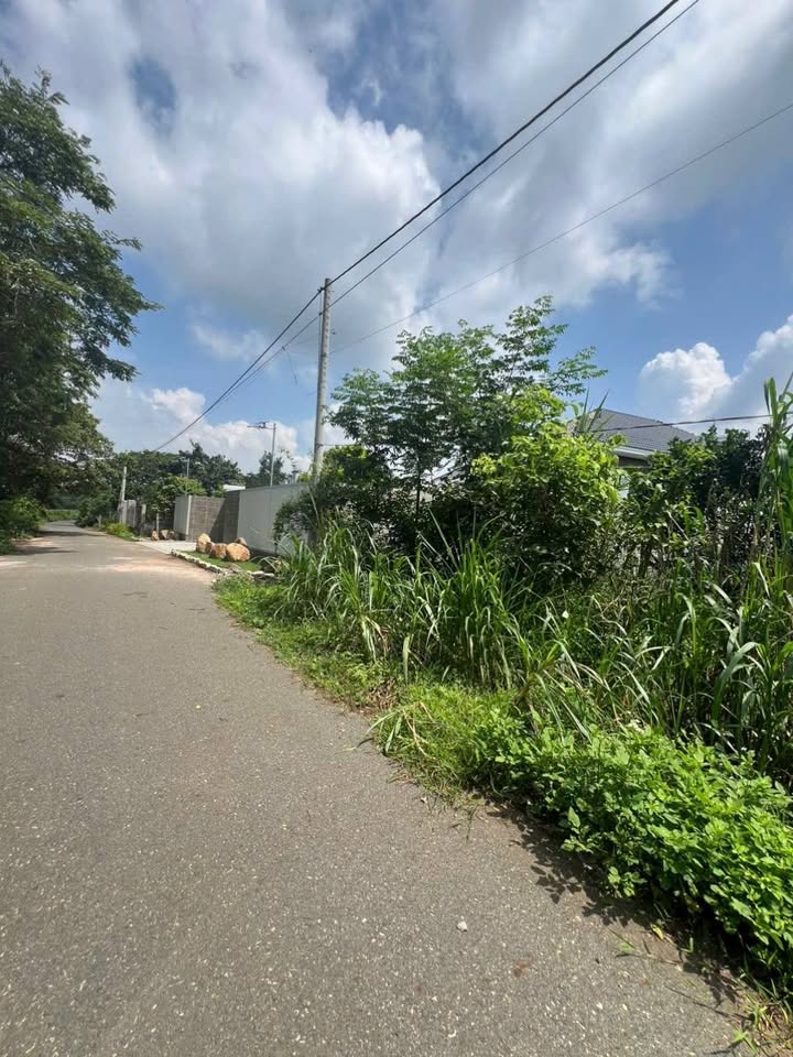 Đất nền Nghĩa Thành, Châu Đức 1000m² giá 1.9 tỷ - Đầu tư sinh lời ngay!