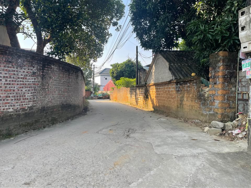 Đất nền 110m² tại Hạ Bằng, Thạch Thất - Giá chỉ 3.3 tỷ, Đường ô tô vào tận nơi!