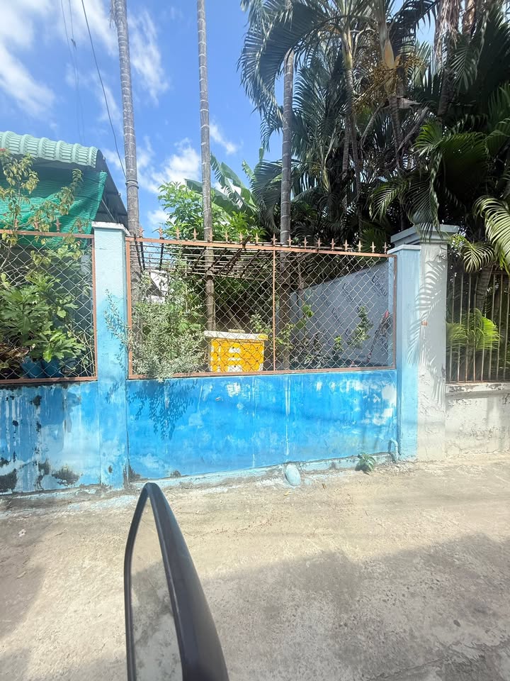 Đất thổ cư đường ô tô Lương Văn Năm, Phan Thiết 99m² giá 1.65 tỷ - Đầu tư sinh lời ngay!