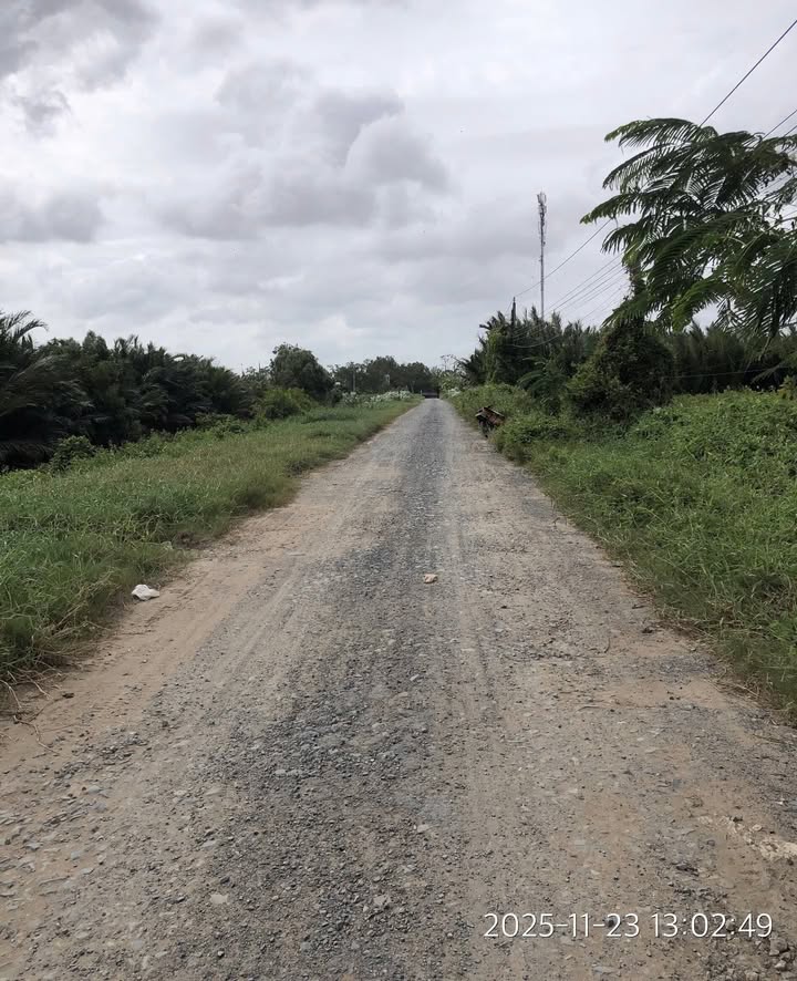 Đất nền 6555m² tại Ấp Cái Cối, Trà Vinh - Gần mặt tiền lộ nhựa, giá 60 triệu!