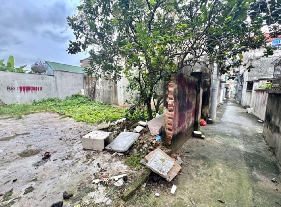 Đất nền Phù Đổng, Gia Lâm 50m² giá 3 tỷ - Đầu tư sinh lời ngay!