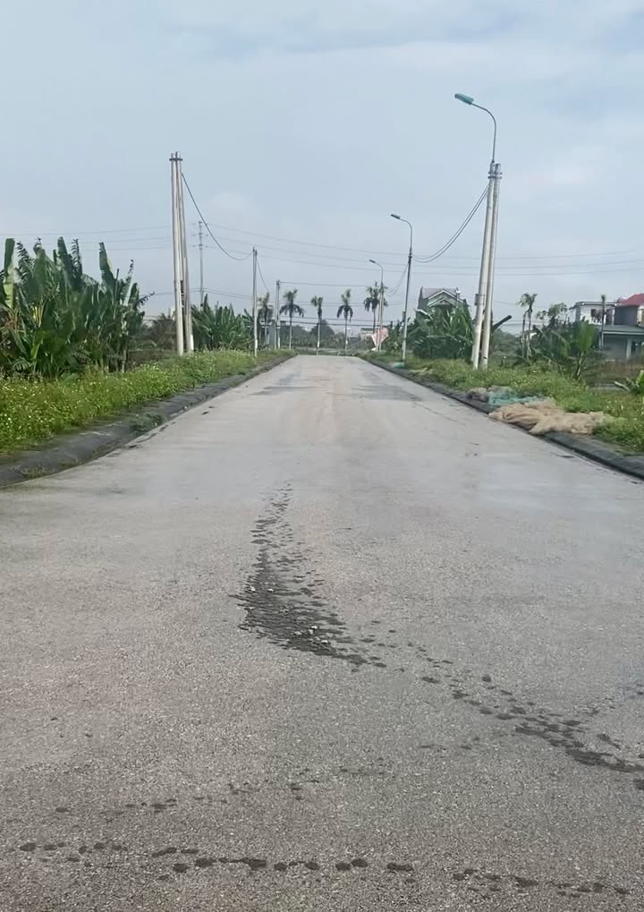 Đất liền kề Nam Sầm Sơn 100m² giá 1 tỷ - Cơ hội đầu tư hiếm có!