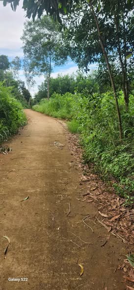 Đất nền Vạn Tường Bình Hải 825m² giá 200 triệu - Đầu tư sinh lời nhanh!