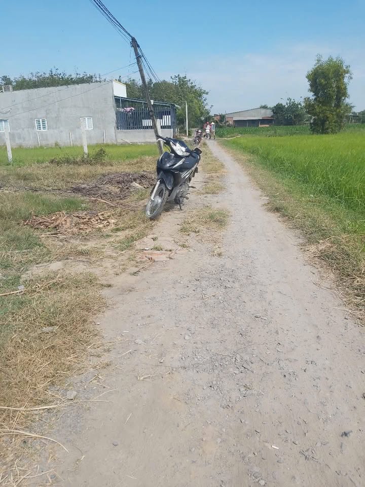 Đất thổ cư 160m² tại ấp Tân Hòa, Đức Lập Hạ, giá 850 triệu - Đầu tư lý tưởng!