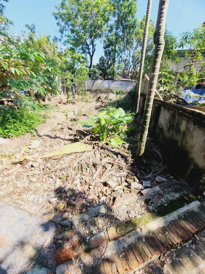 Đất thổ cư Độ Chàng, Đại Thành 50m² giá 300 triệu - Đầu tư sinh lời hấp dẫn!