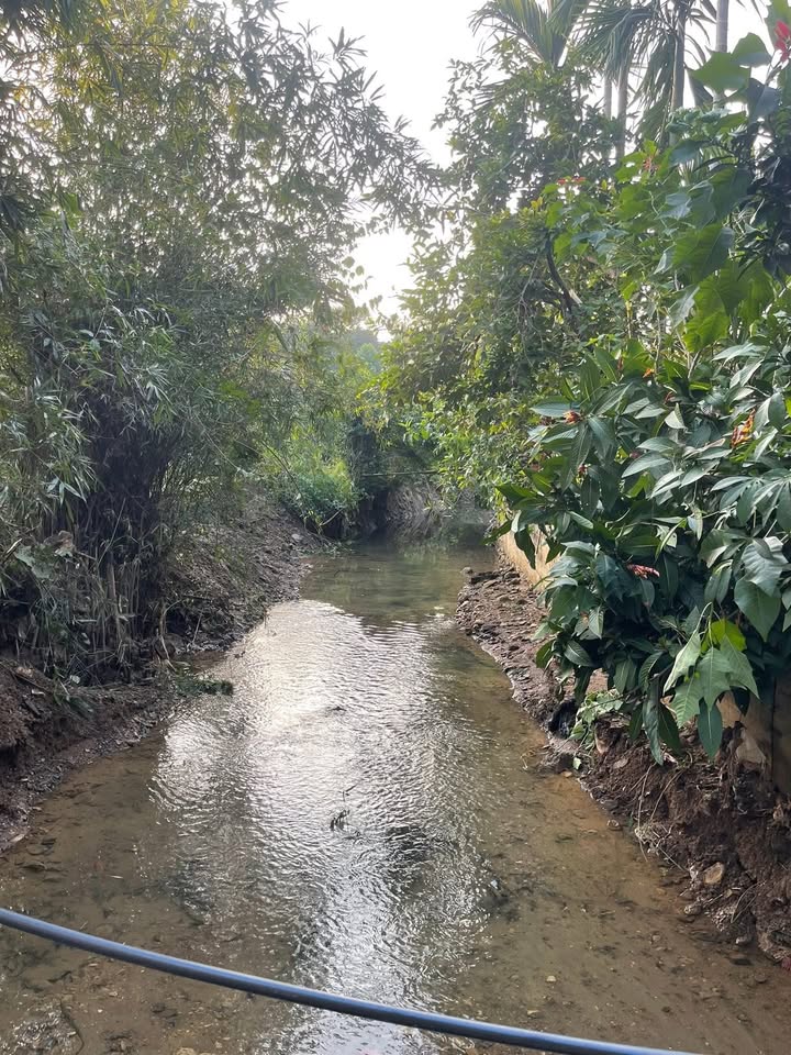 Đất Farm 2207m² tại Tú Sơn, Kim Bôi - Giá chỉ 2 tỷ!