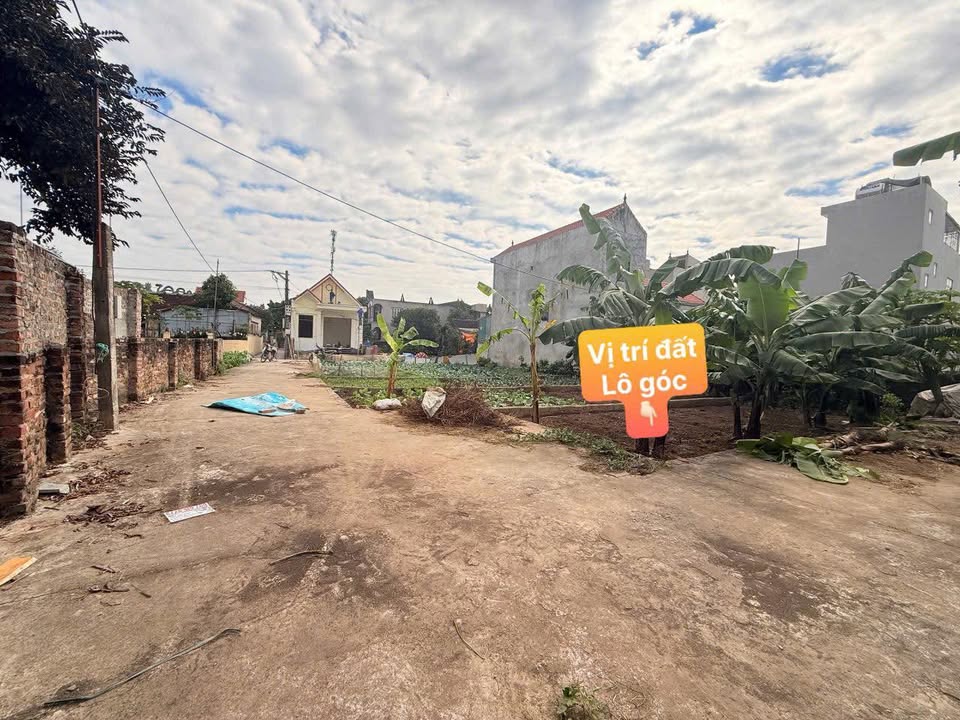 Đất lô góc 51,7m² xã Tự Nhiên, Thường Tín - Giá chỉ 2 tỷ!