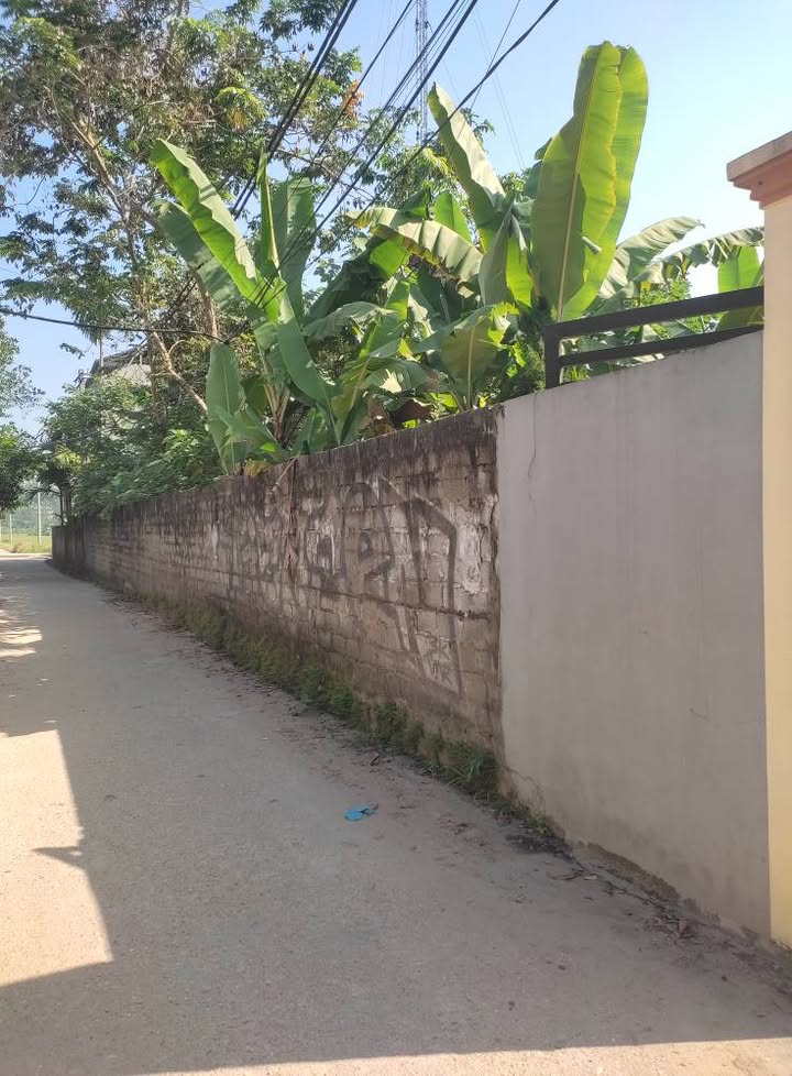 Đất nền khu phố 1 Hạ Hòa 1926m² - Vị trí đắc địa, giá thỏa thuận!