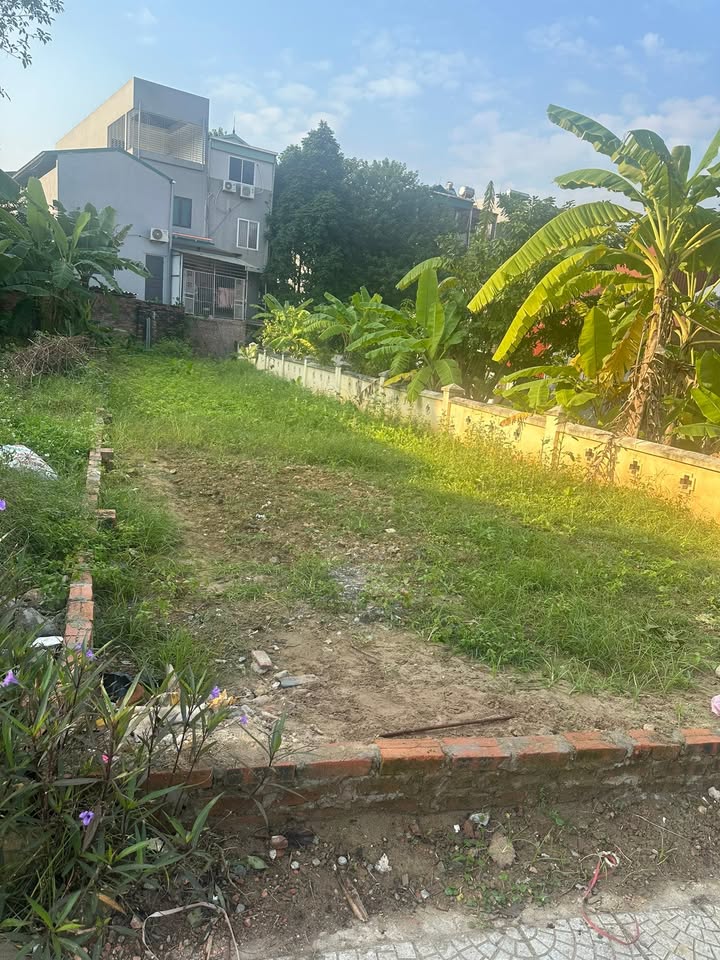 Đất trục chính đường Đốc Ngữ, phường Minh Phương 140m² - Kinh doanh thoải mái!