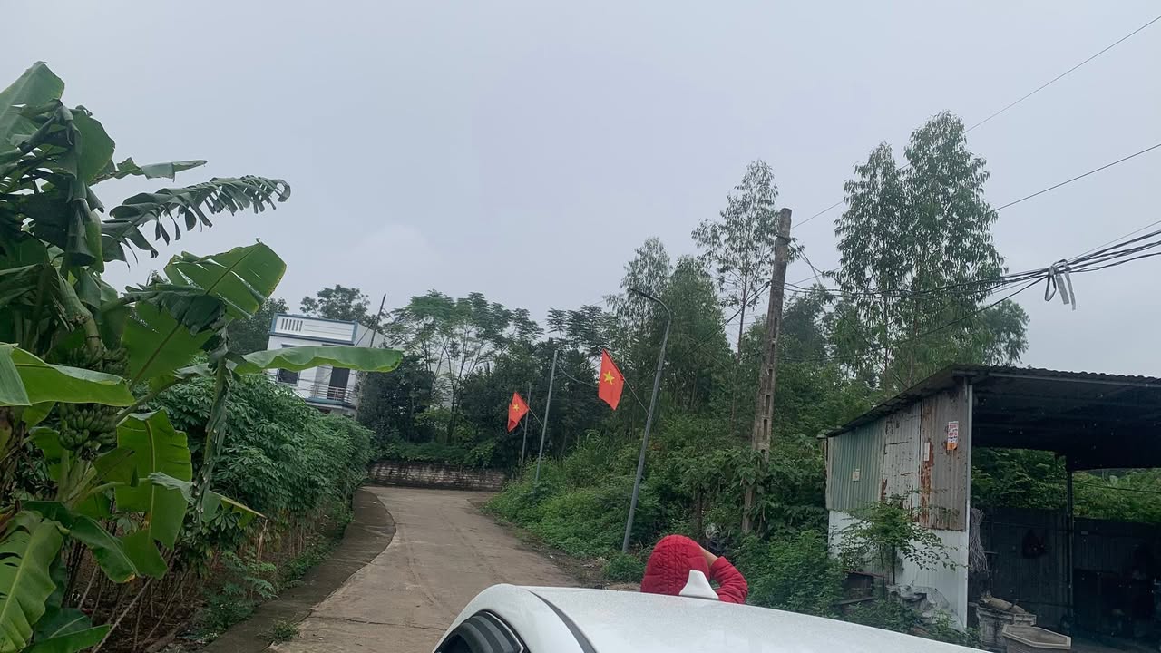 Đất nền Thanh Đình Việt Trì 117m² giá chỉ từ 800 triệu - Đầu tư sinh lời ngay!