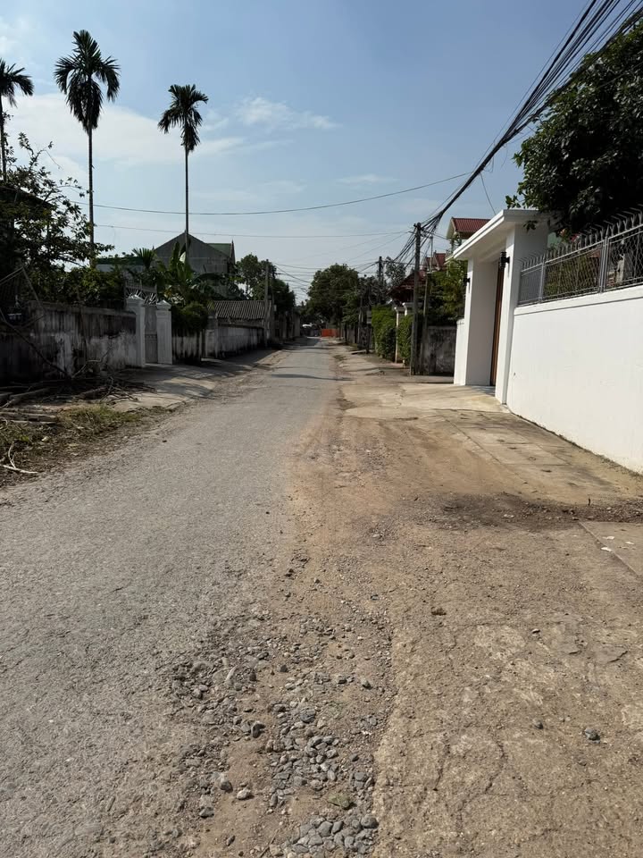 Đất Lạc Sơn Đô Lương 300m² - Kinh doanh buôn bán lý tưởng!