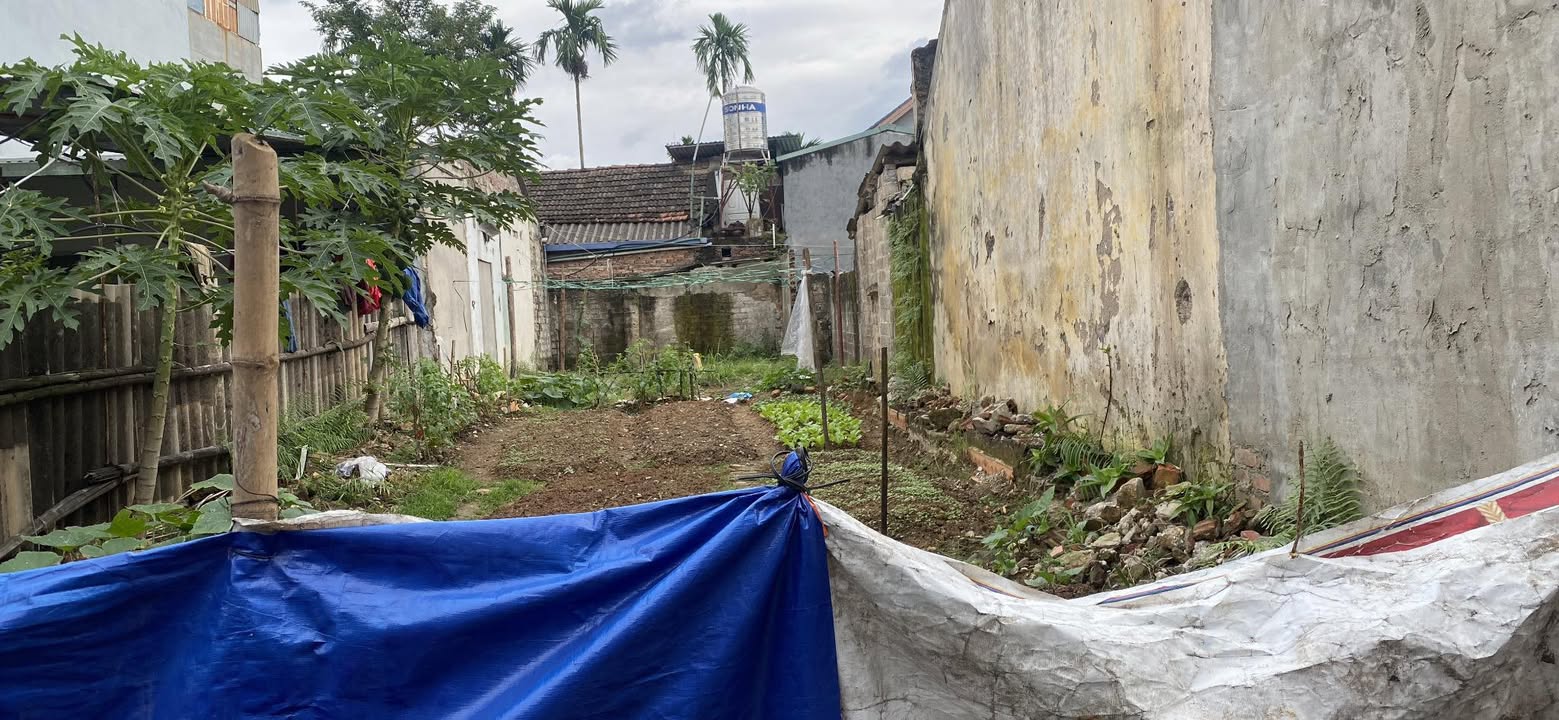 Đất nền khu 11 Thanh Miếu 118m² giá 2.3 tỷ - Sổ đỏ chính chủ!