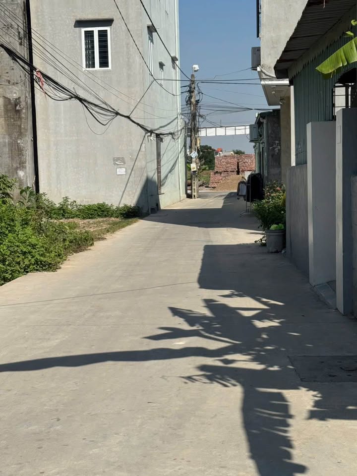 Đất nền 60m² tại Đồng Hòa, Kiến An - Giá chỉ 2.65 tỷ, chính chủ sổ đỏ!