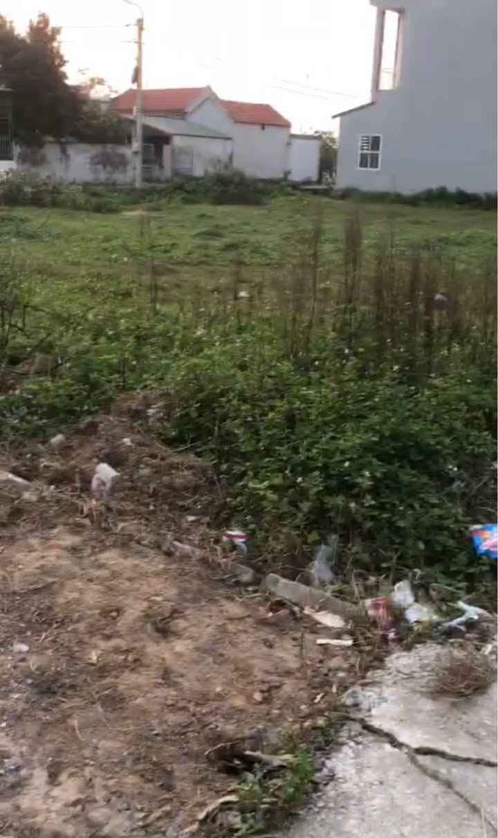 Đất nền Ninh Phúc 100m² giá chỉ 2 tỷ - Sổ đỏ chính chủ