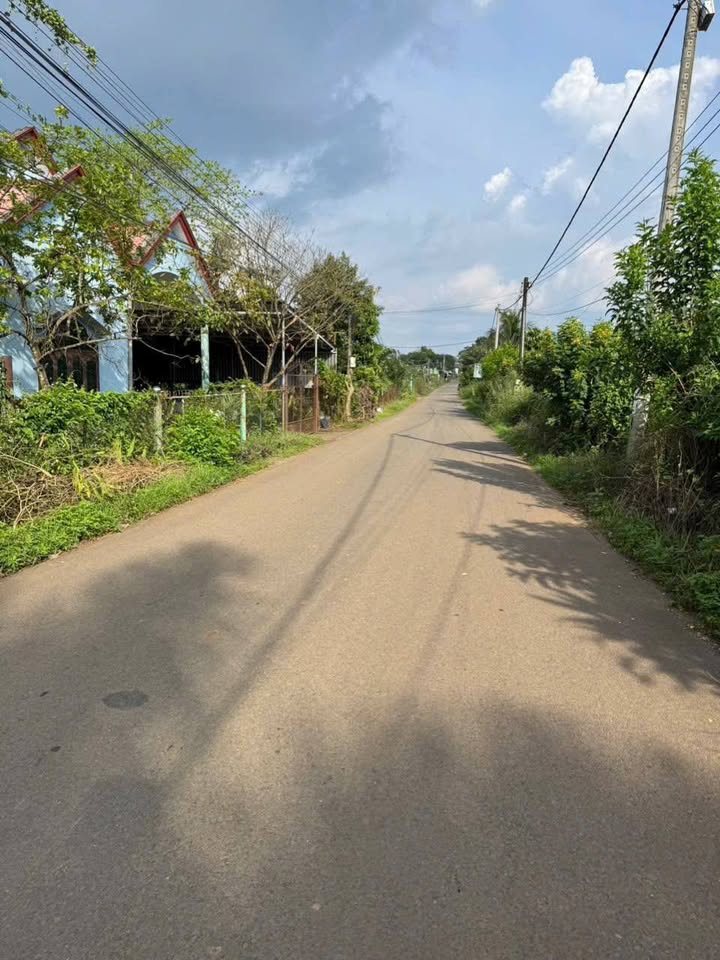 Đất mặt tiền Sông Trầu 210m² giá 1.5 tỷ - Đầu tư sinh lời ngay!