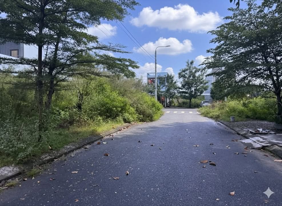 Đất nền Hòa Liên 125m² giá 2.5 tỷ - Hướng Tây Nam tài lộc