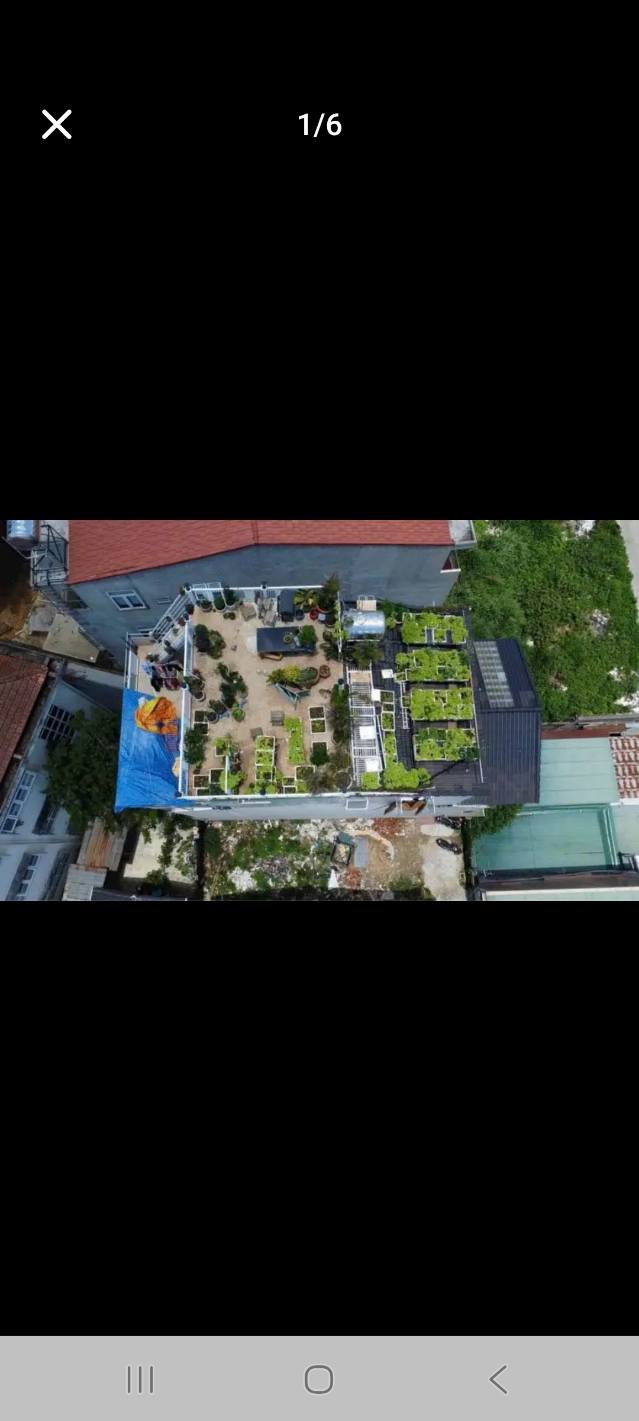 Dãy trọ 5 tầng Bùi Thị Xuân, Đà Lạt 137m² giá 8.1 tỷ - Đầu tư sinh lời ngay!