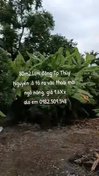 Đất nền Lâm Động Thủy Nguyên 80m² giá 1.6 tỷ - Pháp lý rõ ràng, ô tô vào tận nơi!